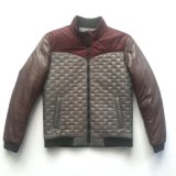 Fashion Latest Design Winter Quilted Jackets for Man