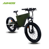AMS-Tde-06 1000W New Gear Motor Fat Tire Electric Bicycle 2017 for Man
