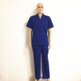 Orange Fr Fabric Short Sleeve Hi Visible Reflective Tape Breathable Summer Workwear for Men