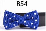 New Design Fashion Men's Knitted Bowtie (B54)