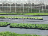 Four Colors PP Weed Control Fabric