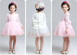 Kd1065 Flower Girl Full Dress Little Princess Dresses Long Sleeve Beautiful Embroidery Tutu Dresses Evening Gowns Dress for Retail