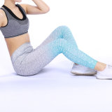 OEM Women Yoga Pant Tight Sport Leggings with Low Price Yjf10301027