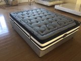 OEM Roll Compressed Pillow Top Furniture Mattress with Continous Inside
