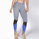 Custom Fitness Wear Yoga Wear Lady Lift Butt Yoga Pants