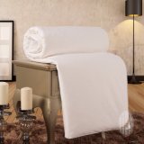 Taihu Snow Best-Seller Oeko-Tex Standard 100 High Quality Home Textile Silk Bed Linen Silk Duvet Silk Quilt Silk Comforter