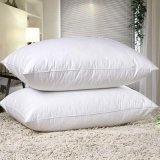 White Goose Down and Feather Bed Pillows for Hotel Bedding Pillow