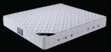 Memory Foam Mattress, Box Spring Mattress with Pillow Top (B305)
