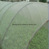 100% HDPE Anti Insect Net for Agriculture