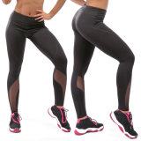 Exercise Yoga Pants Fitness Running Stretch Speed Dry Breathable Sport Pants