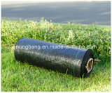 Direct Sale of PP Black Ground Cover Fabric
