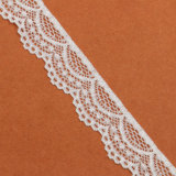 New Style Swiss Voile Lace