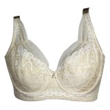Top Quality and Beautiful Bra