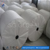 White Polypropylene Woven Fabric for Packaging Bag