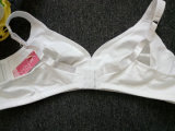 High Quality Big Size Women Underwear Lace Bra (CS902)