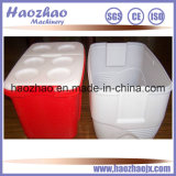 Insulation Container Blow Molding Machine