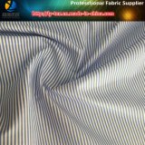 Popular T/C Shirt Fabric, Polyester/Cottn Stripe Shirt Fabric