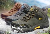 High Boot Fashion Design Outdoor Hiking Shoes