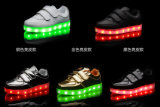 Fashion Luminous Charging Fluorescence LED Shoes (FL 06)