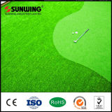 Plastic Green Artificial Grass Carpet for Golf