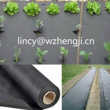 China Factory Price 100% PP Spunbond Nonwoven Fabric for Agricultural Cover