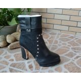 New Style Ankle High Heel Women Dress Boots (HCY02-790)