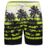 Beach Trunks Quick Dry Recreational Swimwear Shorts Coconut Tree Printing