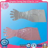 Disposable Long Length Gloves for Pig
