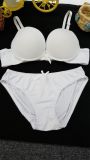 Top Quanlity Seamless Bra and Panty Sexy Underwear (CS0513)