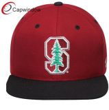 3D Embroidery Snapback Hat with Custom Logos
