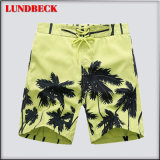 Fashion Shorts for Men in Good Quality