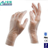 China Vinyl Powder Free Gloves Large Vinli Glove