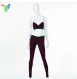 Women's Power Flex Yoga Pants Gym Clothes