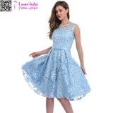 Charm Women Fashion Floral Embroidered Party Dress L36200