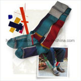 Dress Free Collection Boys&Girls Student Cotton Sock