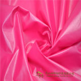 Dyed Nylon Taffeta Garment Fabric, Down Jacket Coats Textile