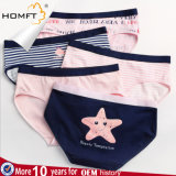 New Fashion Cotton Ventilate Sweet Young Girls Triangle Panties Girls Underwear Panty Models
