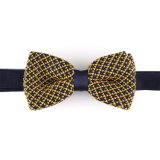 New Design Fashion Latest Style Knitted Bowtie for Men (YWZJ 82)