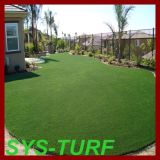 Economical Fake Grass Carpet for Garden