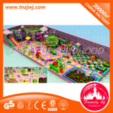 Amusement Park Indoor Playground of Slide and Ball Pool Game