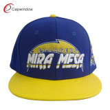 2016 Hot Sale Fashion Strapback Cap with Embroidery (cw-0852)