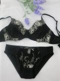 New Style See Through Bra and Panty Set (EPB174)