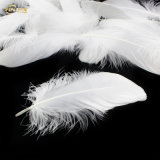 Wholesale Raw White Duck Down Feather for Pillow/Duvet Filling Material