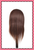 Wholesale 100% Human Hair Training Head 28inches for Beauty School