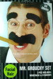 Mr. Grouchy Set/Plush Adhesive Moutache and Eyebrows (BA011)
