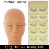 Wholesale Training Eyelashes with Mannequin Head Practice Lashes for Eyelash Extension Practice Lashes