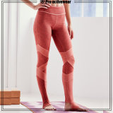 High Quality Comfortable Yoga Leggings High Performance Woman Gym Outfits