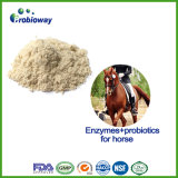 Custom Design Horse Enzymes and Probiotics Animal Feed Supplement