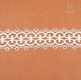 Newest Embroidered Design Swiss Voile Lace Dry Lace