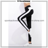 OEM Free Sample New Design Fitness Quick Dry Women Yoga Pants